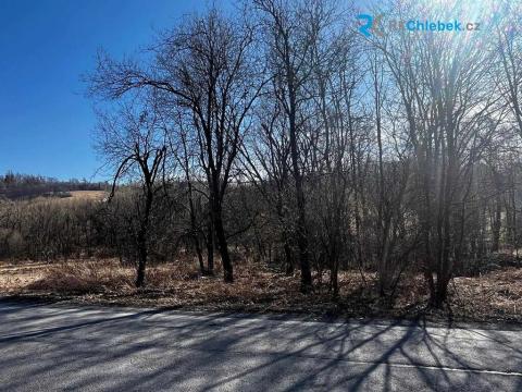 Prodej pozemku pro bydlení, Budišov nad Budišovkou, 556 m2