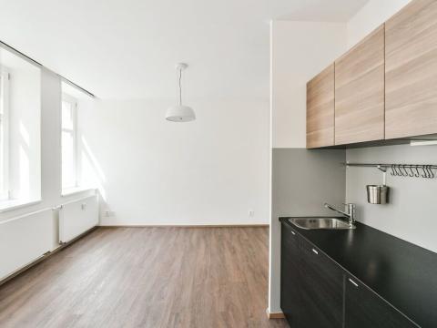 Pronájem bytu 1+kk, Praha - Vinohrady, Lucemburská, 30 m2