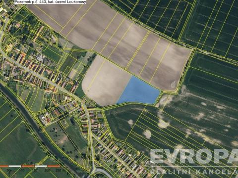 Prodej pole, Kolín, 11184 m2