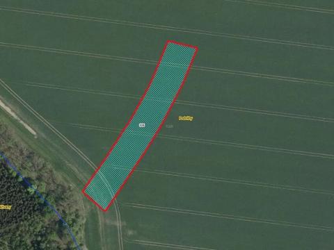 Prodej pole, Králíky, 5334 m2