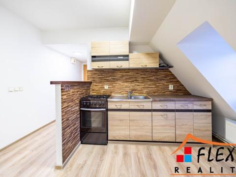 Pronájem bytu 1+1, Opava - Předměstí, Těšínská, 41 m2