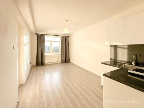 Pronájem bytu 1+kk, Brno, Okružní, 26 m2