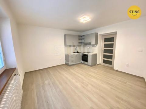 Pronájem bytu 1+kk, Opava - Předměstí, Na Rybníčku, 25 m2