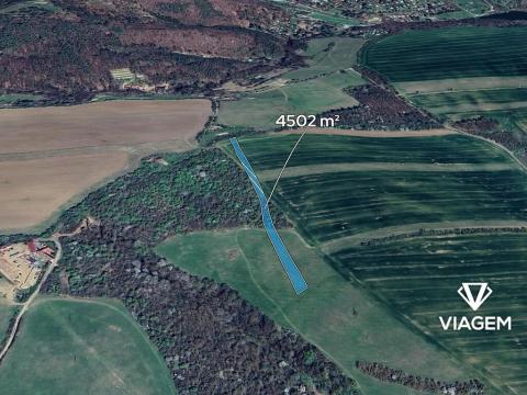 Prodej podílu pole, Boršice, 1500 m2