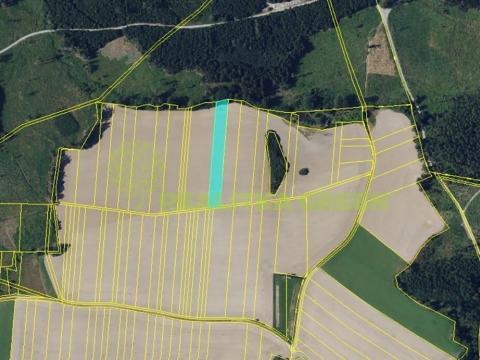 Prodej podílu pole, Doubravice nad Svitavou, 2937 m2