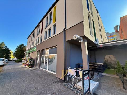 Pronájem bytu 1+kk, Olomouc, Janského, 48 m2