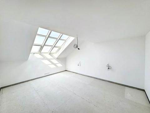 Prodej bytu 4+kk, Praha - Karlín, 200 m2