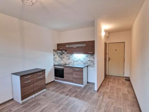 Pronájem bytu 2+kk, Chlumec, Tuchomyšlská, 38 m2