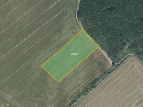 Prodej pole, Hrabyně, 7289 m2