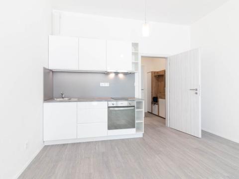 Pronájem bytu 1+kk, Olomouc, Wolkerova, 31 m2
