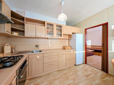 Pronájem bytu 1+1, Mladá Boleslav, U stadionu, 45 m2