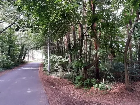 Prodej lesa, Mostkovice, 576 m2