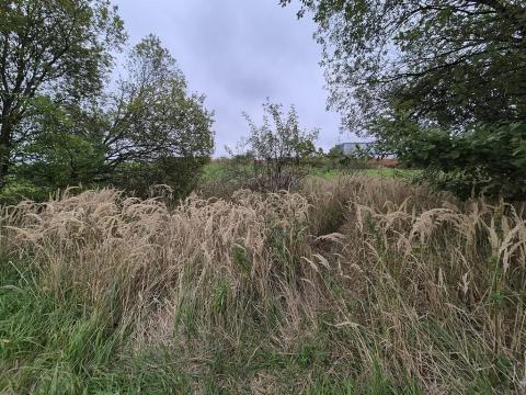 Prodej pozemku pro bydlení, Psáry, Jižní, 1297 m2