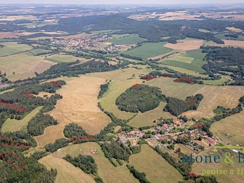 Prodej lesa, Zvěstov, 45954 m2