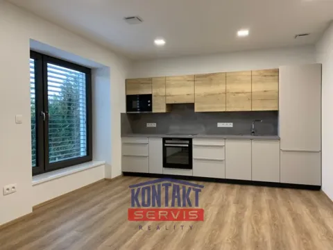 Pronájem bytu 3+kk, České Budějovice, J. Dietricha, 65 m2