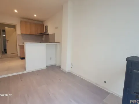 Pronájem bytu 1+kk, Olomouc, 20 m2