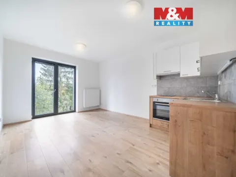 Pronájem bytu 1+kk, Třemošná, Školní, 32 m2