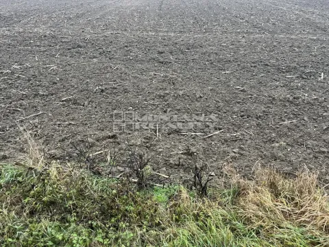 Prodej pole, Bochoř, 16443 m2