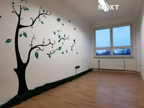 Pronájem kanceláře, České Budějovice, K. Světlé, 17 m2