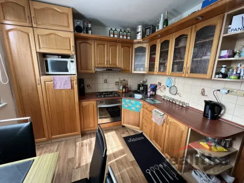 Prodej bytu 1+1, Opava - Kateřinky, Holasická, 36 m2