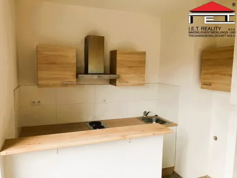 Pronájem bytu 1+kk, Ostrava - Hrabůvka, Krakovská, 22 m2