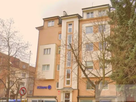 Pronájem bytu 2+kk, Plzeň, Dvořákova, 53 m2