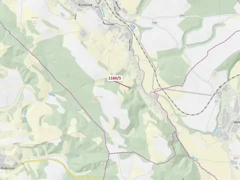 Dražba lesa, Letohrad, 282 m2