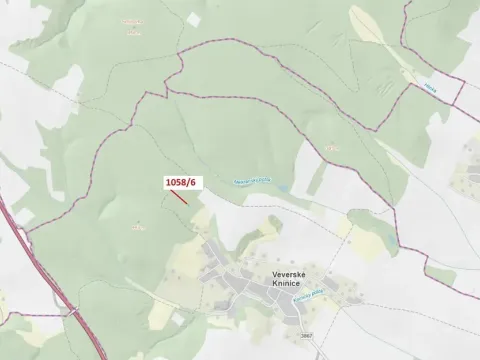 Dražba lesa, Veverské Knínice, 77 m2