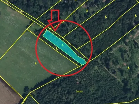 Prodej lesa, Velký Vřešťov, 1545 m2