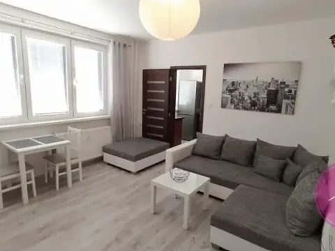 Pronájem bytu 2+1, Olomouc, Družební, 45 m2