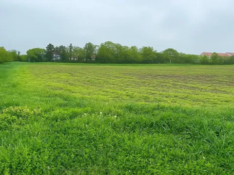 Prodej pozemku pro bydlení, Louka, 1525 m2