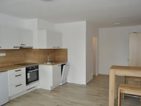 Pronájem bytu 1+kk, Praha - Motol, Hennerova, 48 m2