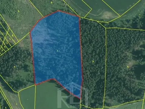 Prodej lesa, Bořetín, 31787 m2