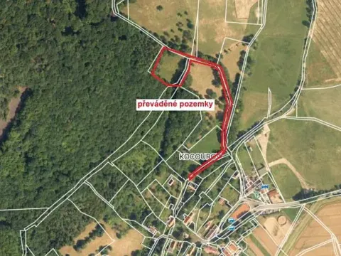 Prodej pozemku, Třebenice, 4080 m2