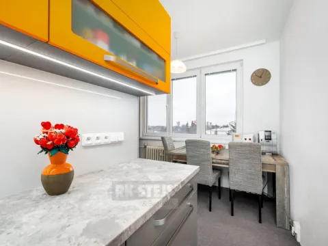 Prodej bytu 2+1, České Budějovice - České Budějovice 3, U Trojice, 58 m2