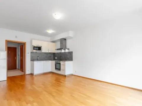 Pronájem bytu 1+kk, Praha - Střešovice, Patočkova, 32 m2