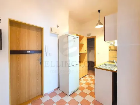 Pronájem bytu 2+1, Praha - Nusle, Čestmírova, 54 m2