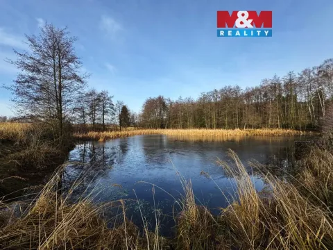 Prodej rybníku, Velká Losenice, 13639 m2