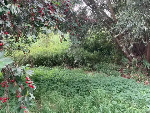 Prodej pozemku, Staňkovice, 438 m2