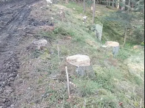 Prodej lesa, Žihobce, 802 m2