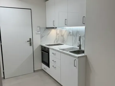 Pronájem bytu 1+kk, Praha - Vinohrady, Nad olšinami, 24 m2