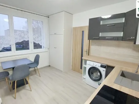 Pronájem bytu 1+1, Cheb, Lesní, 35 m2