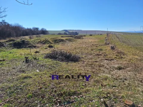 Prodej pozemku pro bydlení, Žatec - Milčeves, 4163 m2