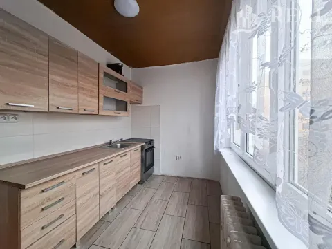 Prodej bytu 2+1, Bílina - Teplické Předměstí, M. Švabinského, 55 m2