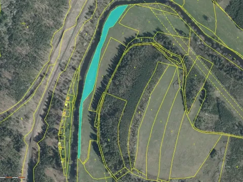 Prodej rybníku, Svojšín - Holyně, 4028 m2