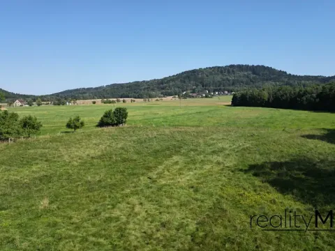 Prodej louky, Křižany, 2663 m2