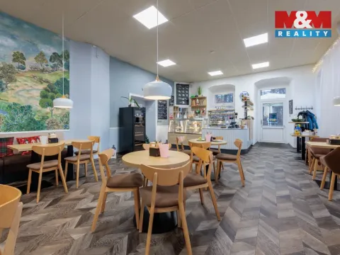 Prodej obchodního prostoru, Nejdek, Karlovarská, 5519 m2