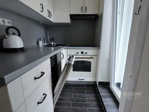 Pronájem bytu 2+kk, Praha - Nusle, Družstevní, 45 m2