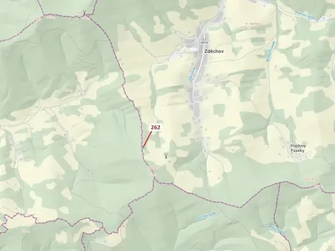 Dražba lesa, Zděchov, 273 m2