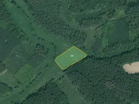 Prodej podílu louky, Poběžovice, 3711 m2